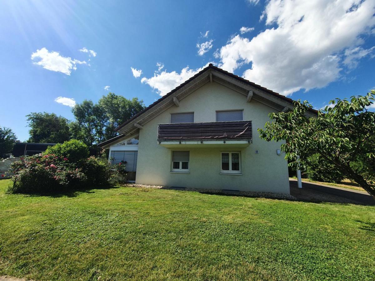 Klettgauperle - Familien- Und Behindertengerechte Ferienwohnung Griessen Экстерьер фото